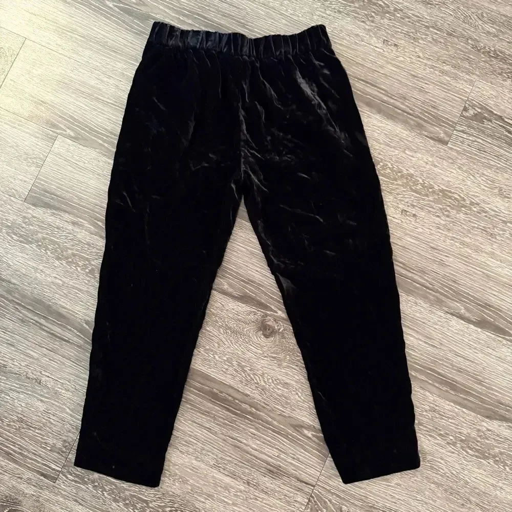 J. Crew Velour Pull On Pants